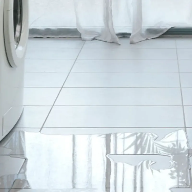 Appliance Leak Cleanup in Richmond, UT