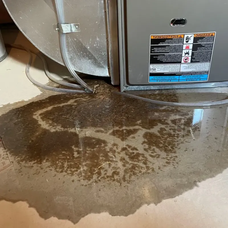 Pipe Burst and Leak Restoration in Richmond, UT