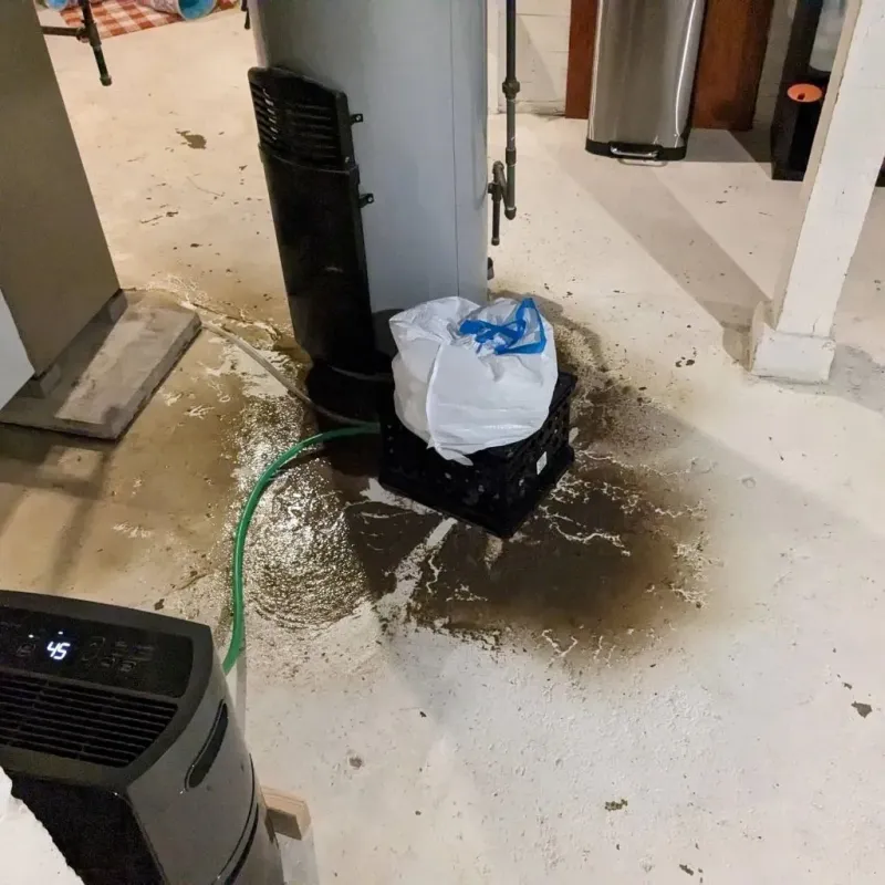 Sewage Backup Cleanup Service in Richmond, UT